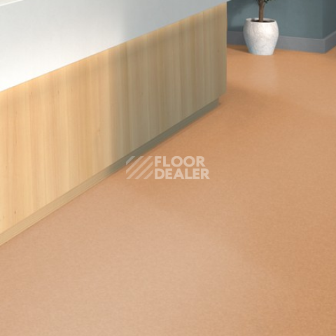 Tarkett iq Melodia 2643 фото 2 | FLOORDEALER